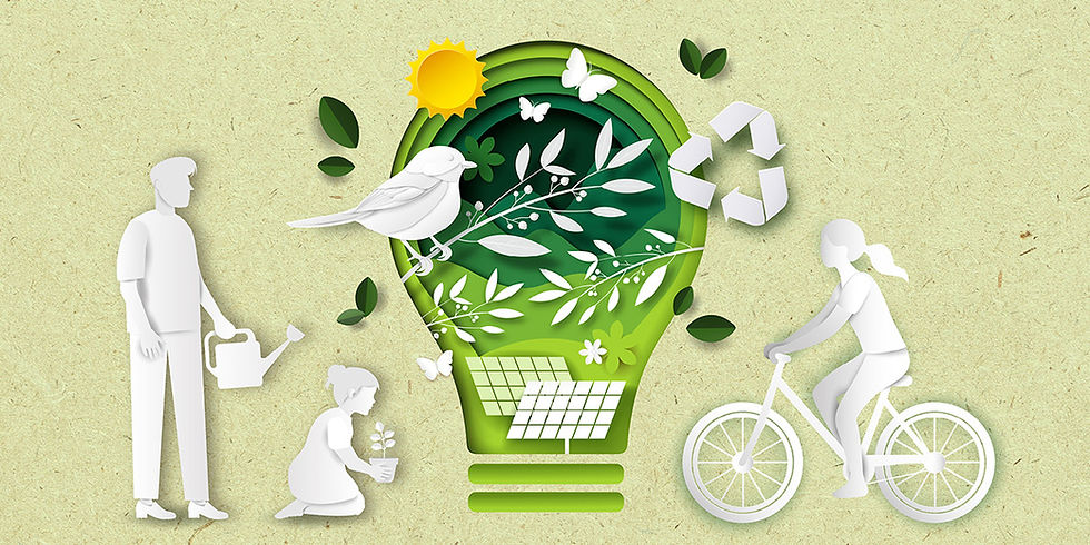Ku-ring-gai Eco Festival Artwork