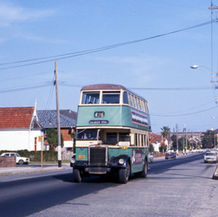 Photo Archives - Marrickville
