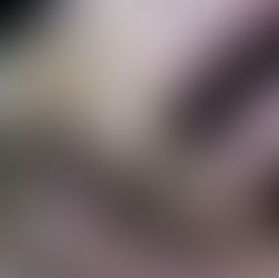 The Sydney Seahorse Project