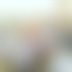 The World's Best Pizza