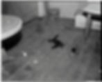 Ziegfeld's Night Club history of blood-stained floors