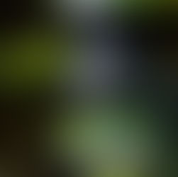 Photography in the Northern Beaches and Beyond