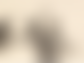 The Return of the Gweagal Spears