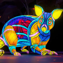 Vivid 2025 - Making Sydney Simply Brilliant