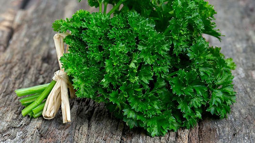 Best Herbs to Plant in Autumn