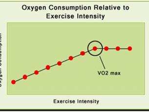 Qu'est ce que le VO2 max?