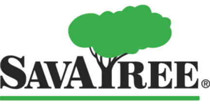 SavaTree.png