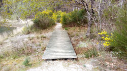 Passerelle en bois sur sentier
