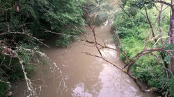 Vue du pont