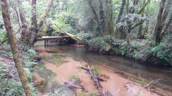 Passerelle sur Onesse