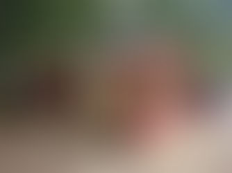 Wir bekommen ein neues Spielzeughäuschen