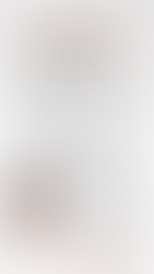 Krähenbüschken-Reporter