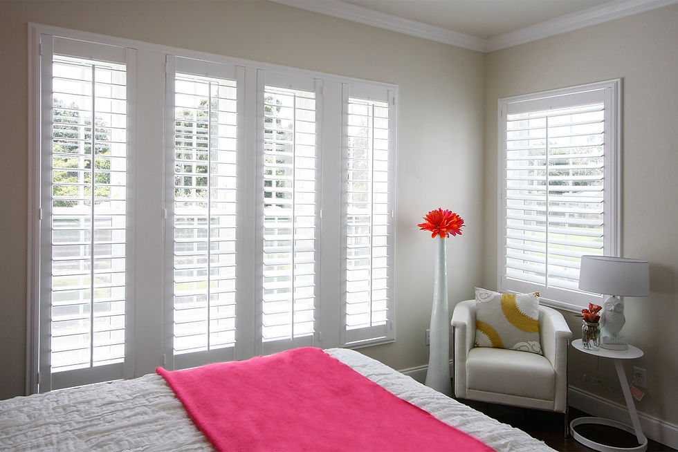 White Traditional Style Shutter