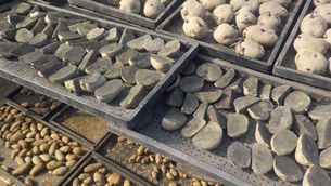 じゃがいもの植え付け準備