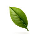 hoja de matcha_edited.png