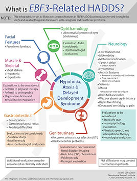EBF3 HADDS Features Handout.jpg