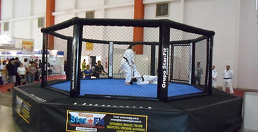 locação e venda de ringue, octógono, tatame, eva, sacos de pancada, lona, luva, material de treino, gestão esportiva, promoção de eventos, boneco sparring, torre de pancadas, pesos, aparelhos de academia, e muito mais