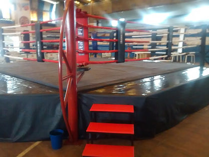 ringue de boxe e muay thai profissional elevado grupo star fit