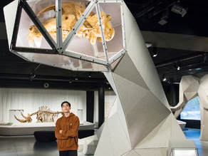 Qu'est-ce que je peux faire ?