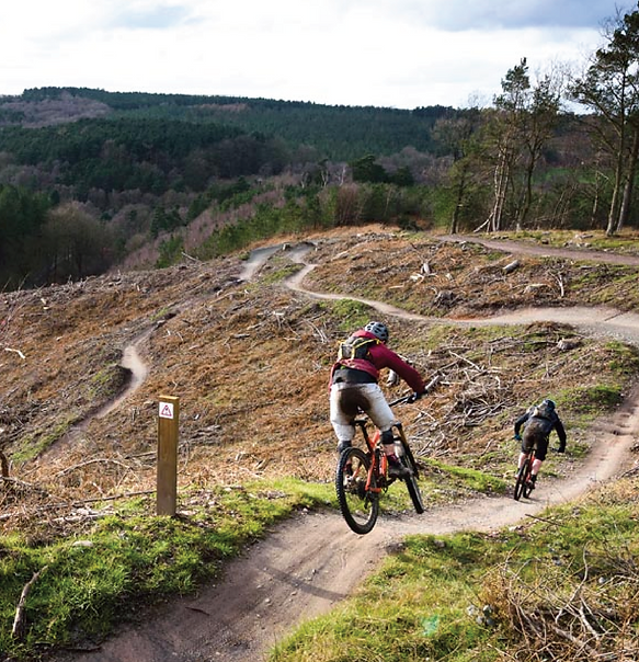 Screenshot 2025-03-18 at 11.42.27.png