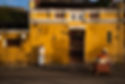 DSC_2193.jpg