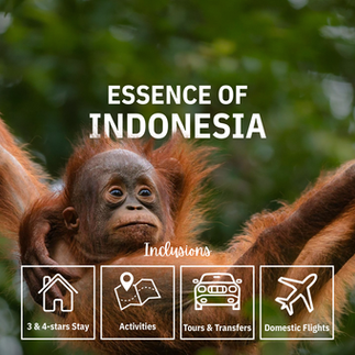 essence of indonesia