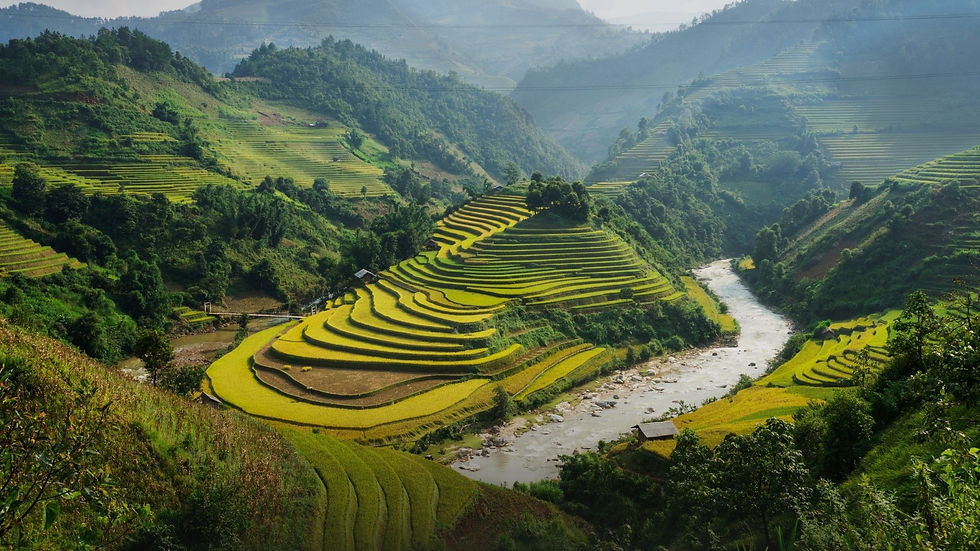 VN-003-14D - Discover North Vietnam.jpg