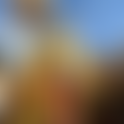 Temple Pictures with person