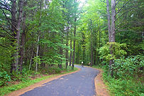 Trail.jpeg
