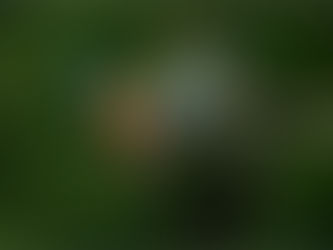 Inter-club - Winning Photography