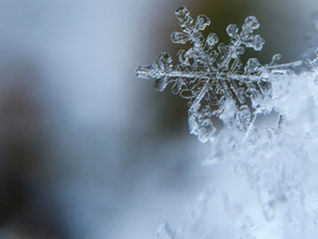 Oiler Music Guild Updates- Week of 12/1