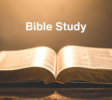 Bishop Francine A. Brookins, Esq..jpg