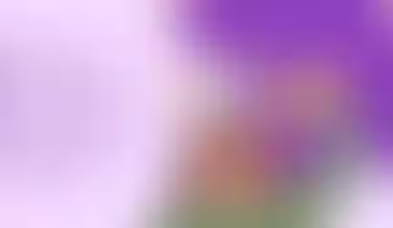 Wellness Recovery Action Plan (WRAP): A Consumer-led and Peer-driven Framework that Emerged from Grassroots Activism and the Lived Experience of People with Mental Health Challenges Themselves. 