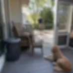 Wicker patio chairs and a trash can set aside by the back door while a worker cleans a deck in Elkton