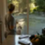 Homeowner viewing algae-stained patio through kitchen window in Elkton home