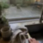Homeowner views algae-covered patio through kitchen window in Elkton