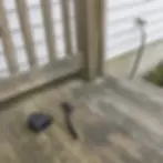Stained deck railing showing signs it needs professional cleaning in Elkton