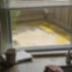 Homeowner views stained backyard concrete patio through kitchen window in Elkton