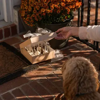 Cake pop delivery box Belcamp, MD front porch