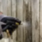 Hands spraying low-pressure wash on wood fence board texture