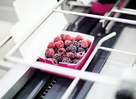 LUBRIFICANTI PER IL SETTORE ALIMENTARE.webp
