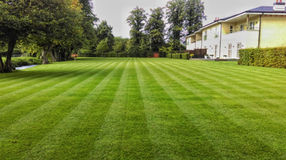 IMG-20230112-WA0035-01.jpeg