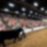 Voinovich Trade Show System