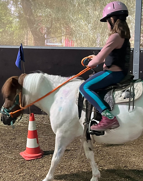 Reiten