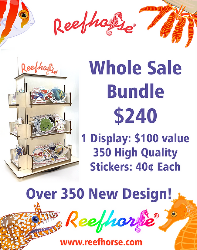 wholesale Bundle Img Website.png