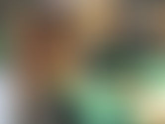 Ein guter Platz für mein Natives Olivenöl Extra BIO DOP - Bauer Lindchen