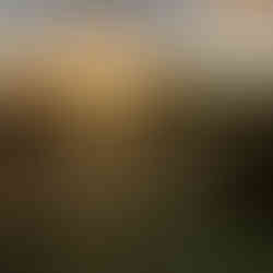 So beginnt der Arbeitstag - Motivation pur