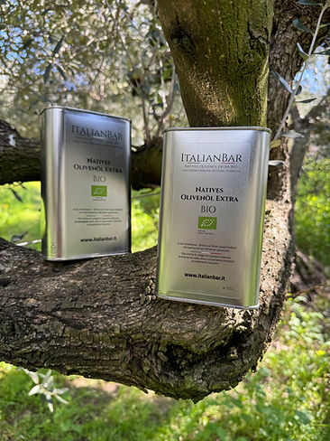 ItalianBar Olivenölabholtag