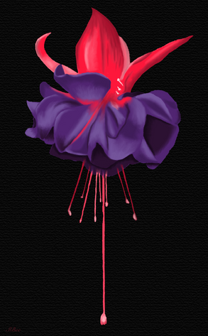 Jelly Voodoo Fuchsia 
