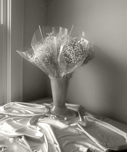 Baby’s Breath in Cellophane Ruff